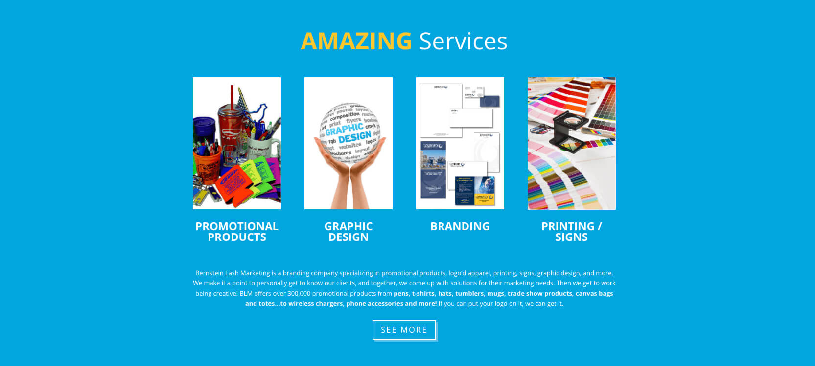 bernstein lash branding product website design