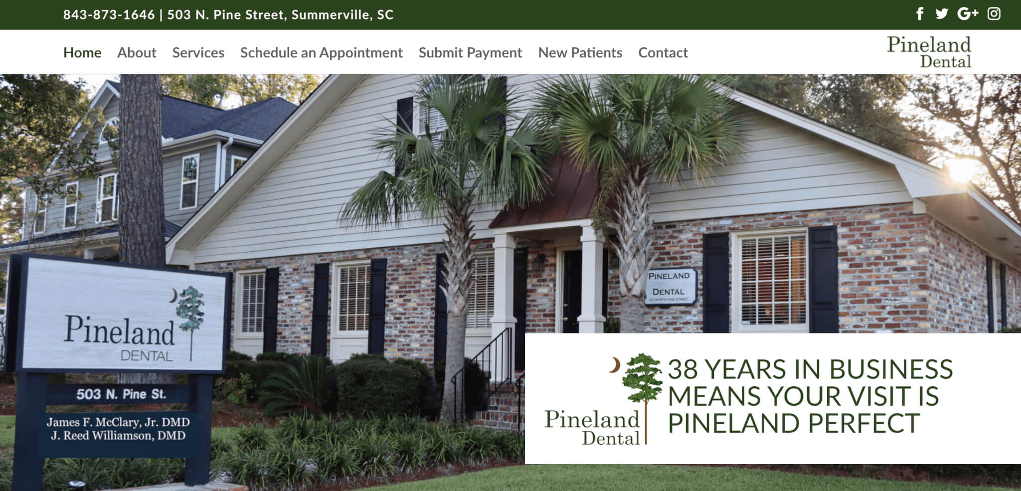 pineland dental summerville web design