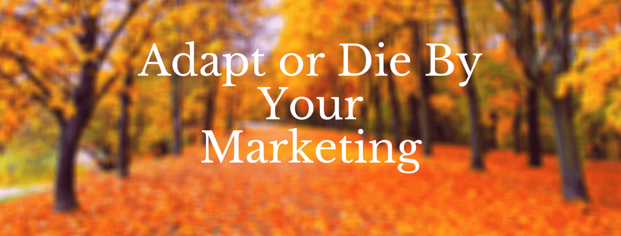 adapt or die by your marketing