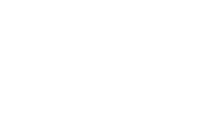 Custom Care Carriage Logo Roofing Company