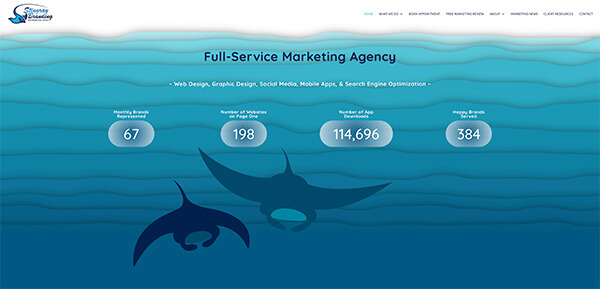 stingray branding new custom website, marketing careers