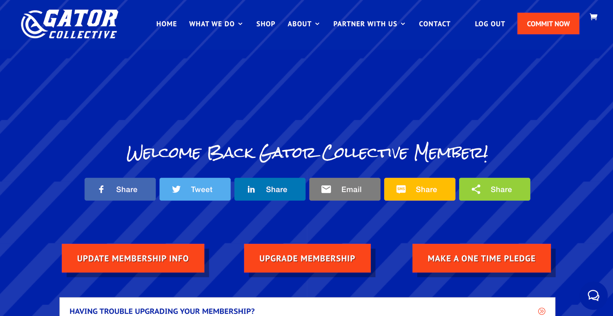 Gator collective new website membership dashboard created and designed by stingray branding