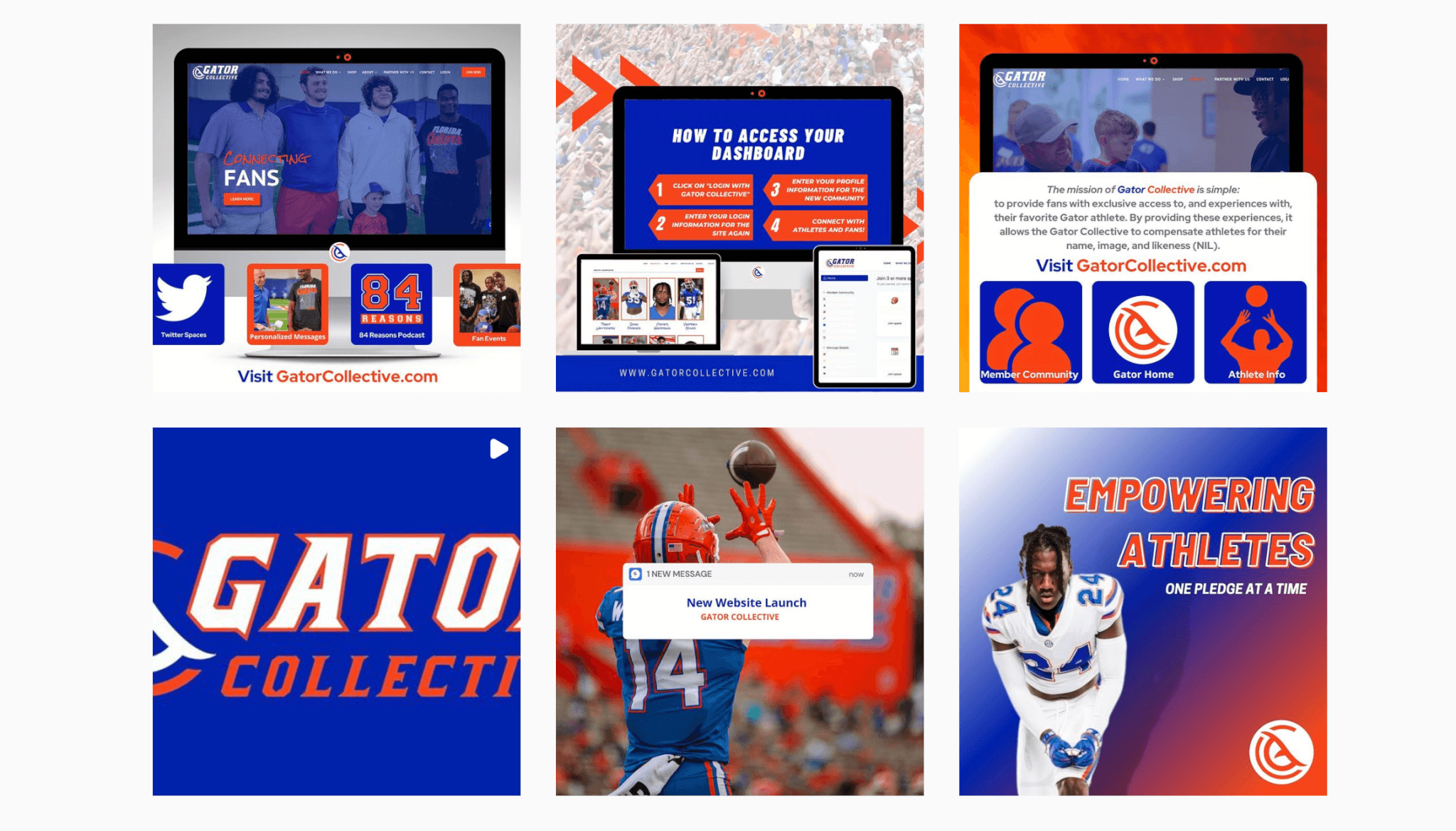 social media graphics for gator collective created and designed by stingray branding
