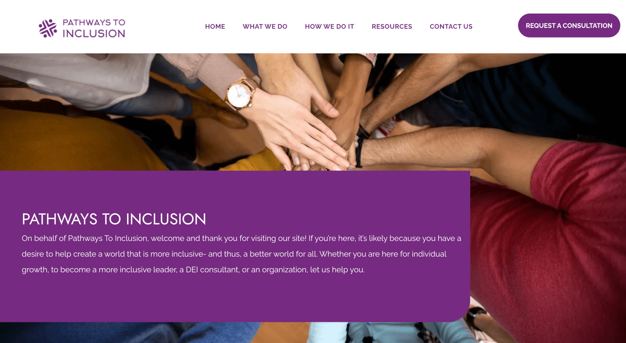 Screen shot of Pathways to inclusion home page