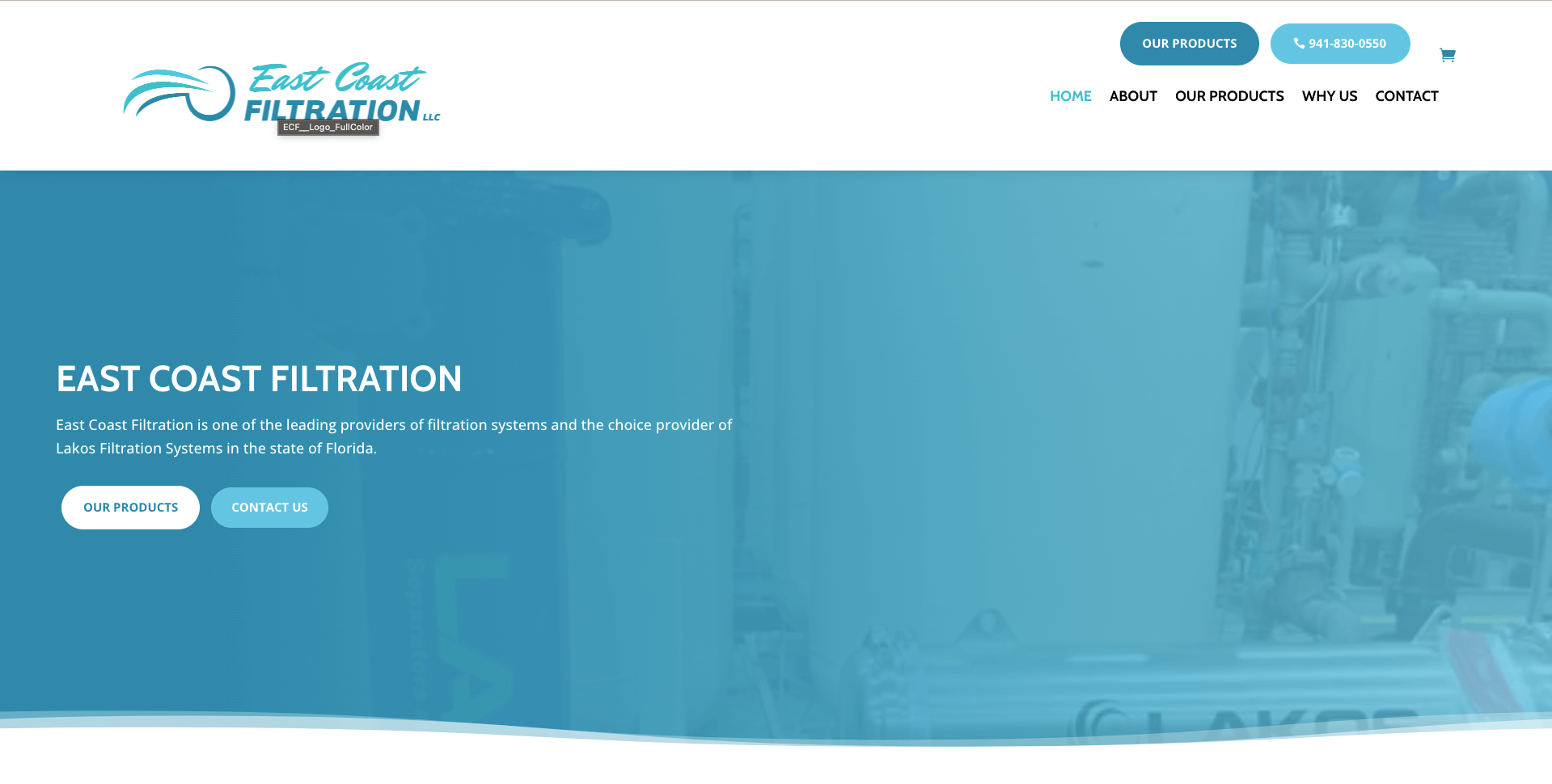 Stingray Branding local Charleston Small Business Websites 