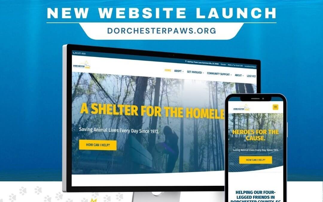 Project Spotlight: Dorchester Paws Website